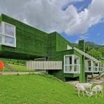 Grass-Covered Green Residence in Austria