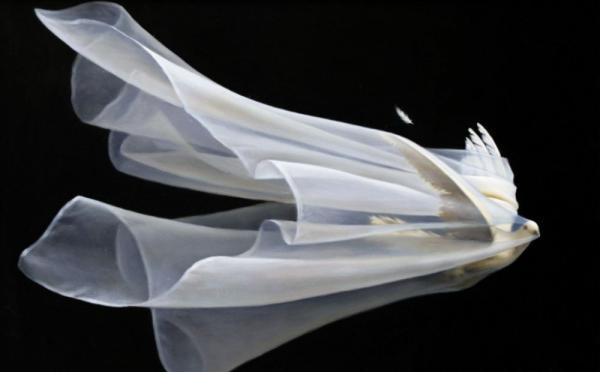 Alex Alemany _7600_372