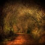 Landscape Photography by Alicja Rodzik