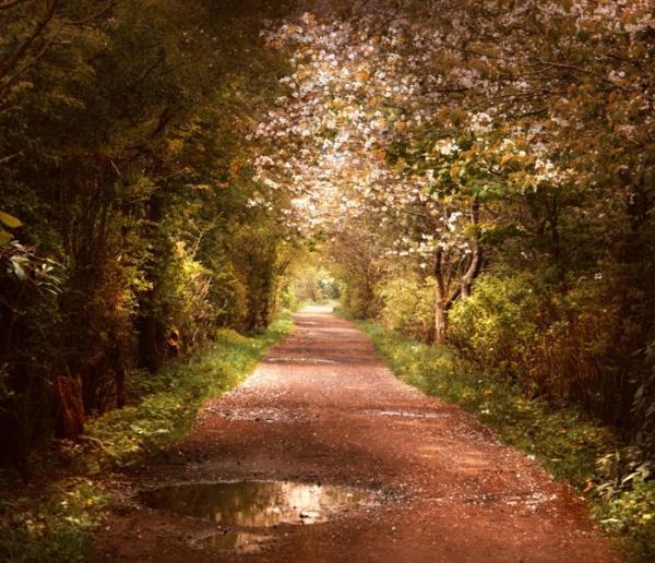 Alicja Rodzik_2600_516