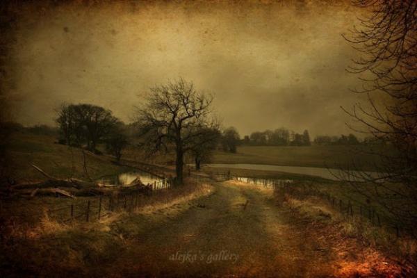 Alicja Rodzik_4600_400