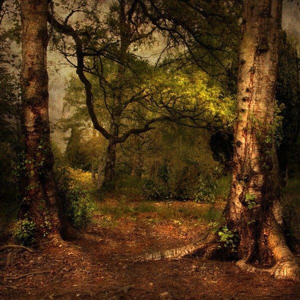 Alicja Rodzik_5600_600