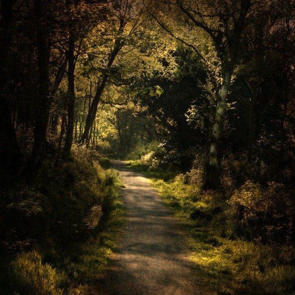 Alicja Rodzik_6600_600