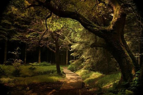 Alicja Rodzik_7600_399