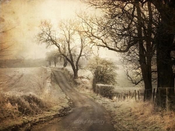 Alicja Rodzik_8600_450