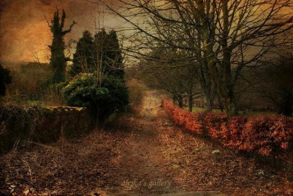 Alicja Rodzik_9600_401