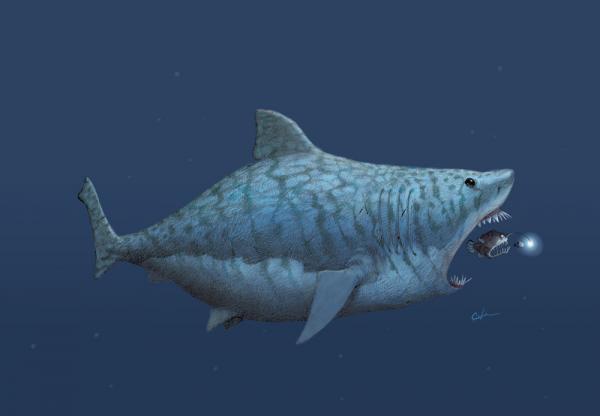 Bobby Chiu _12600_416