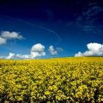 Landscape Photography by Kim Aldis