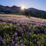 Landscape Photography by Scott Smorra