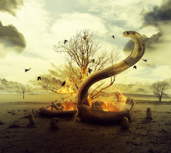 after_life_for_sinners_by_pshoudini600_537