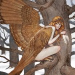 Illustrations by Erin Kelso