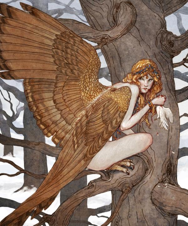 harpy_by_bluefooted600_721