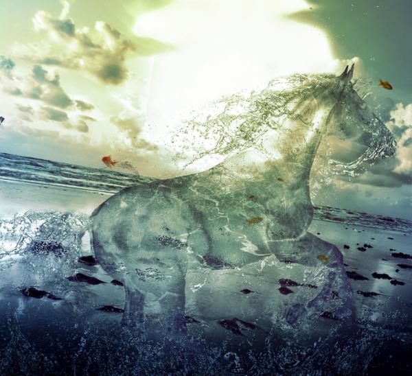 water_stallion_by_pshoudini600_548