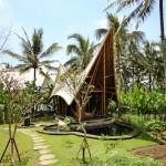 Green Village in Bali