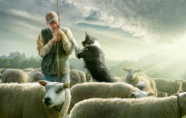 Adrian Sommeling _19600_381