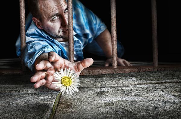 Adrian Sommeling _4600_396