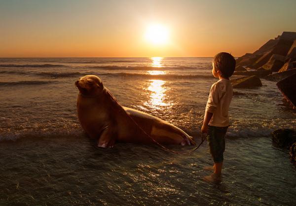 Adrian Sommeling _8600_418