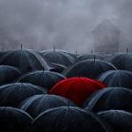 Photography by Caras Ionut