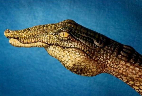 Guido Daniele_4600_408