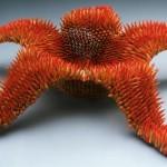 Pencil Sculptures by Jennifer Maestre