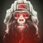 Illustrations by Lukas Brezak