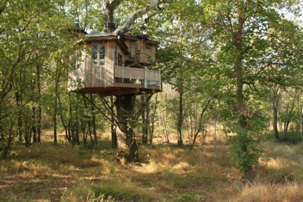 Pete Nelson tree house_1600_400