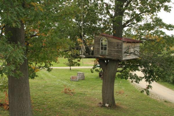 Pete Nelson tree house_4600_400