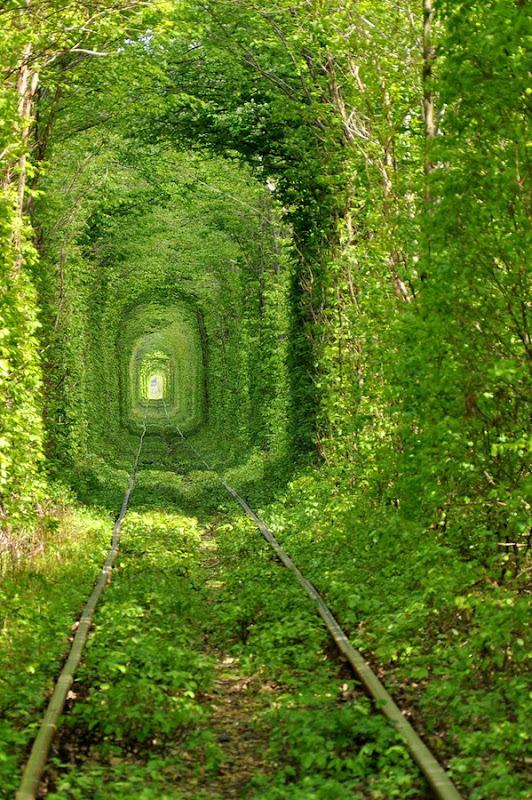 Tunnel of Love_4_532_800