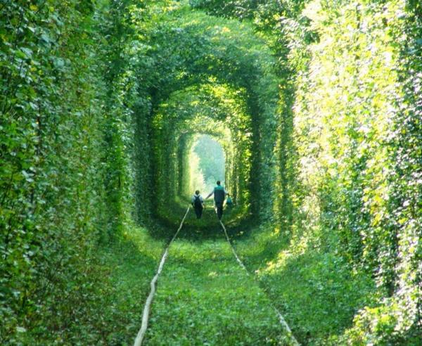 Tunnel of Love_7600_492