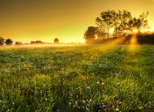 Zsolt Zsigmond_11600_435