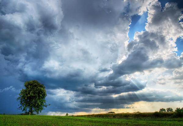 Zsolt Zsigmond_12600_413