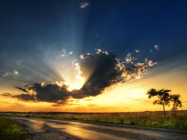 Zsolt Zsigmond_13600_450