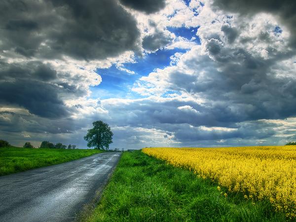 Zsolt Zsigmond_14600_450