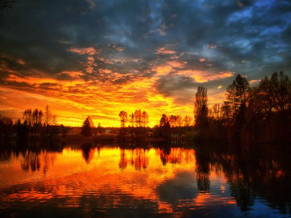 Zsolt Zsigmond_16600_450