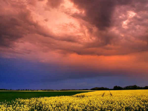 Zsolt Zsigmond_19600_450