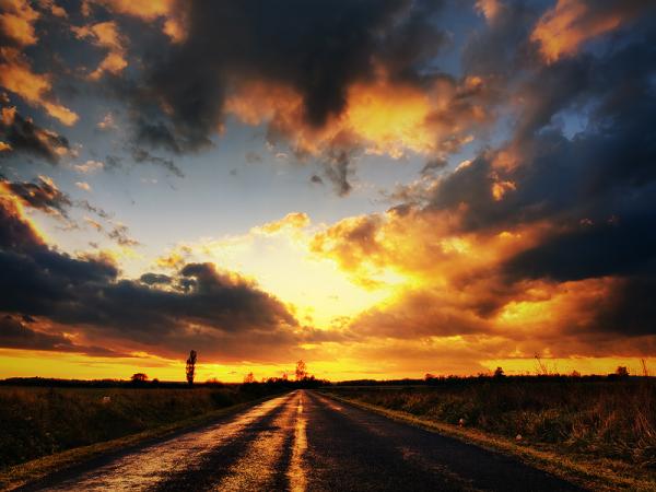 Zsolt Zsigmond_21600_450