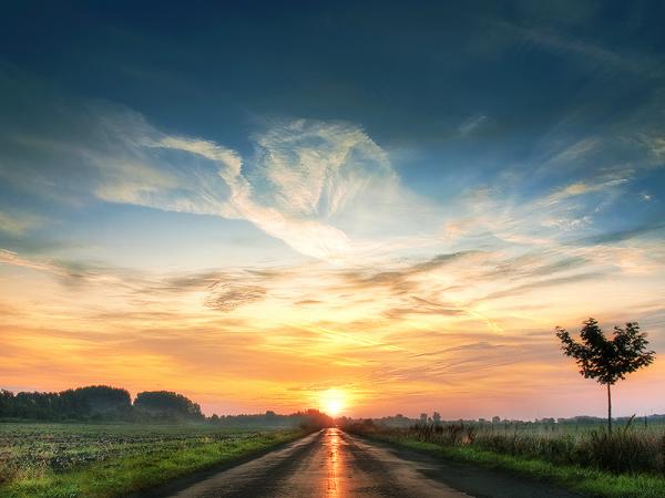 Zsolt Zsigmond_22600_450