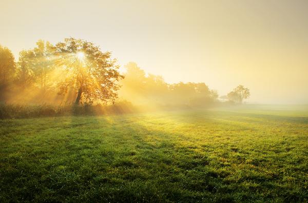 Zsolt Zsigmond_23600_397