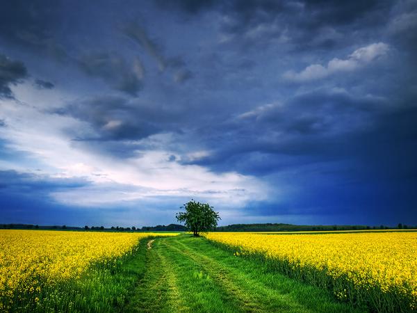 Zsolt Zsigmond_26600_450