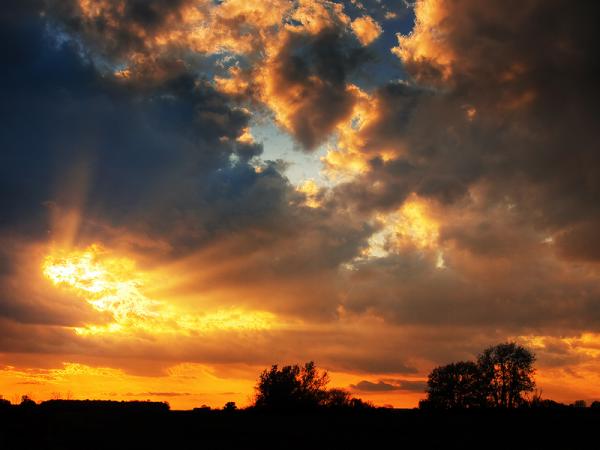 Zsolt Zsigmond_27600_450