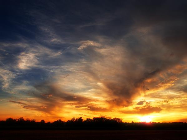 Zsolt Zsigmond_29600_450