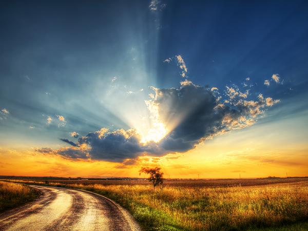 Zsolt Zsigmond_32600_450