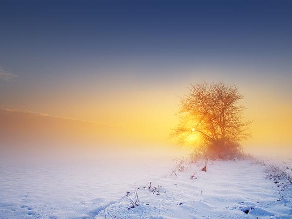 Zsolt Zsigmond_34600_450