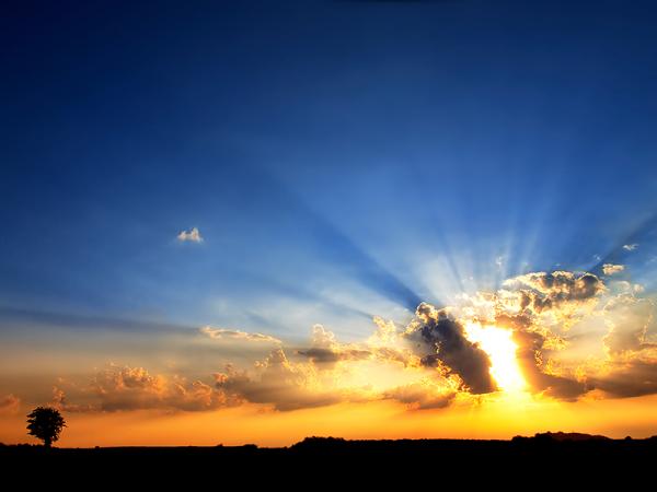 Zsolt Zsigmond_3600_450