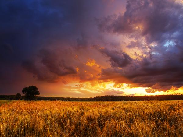 Zsolt Zsigmond_36600_450