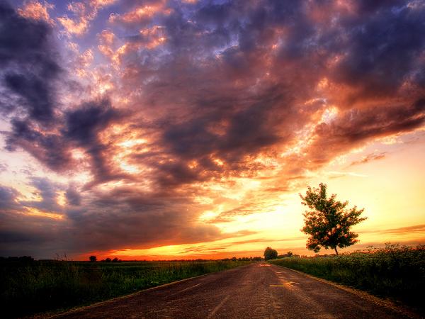 Zsolt Zsigmond_37600_450