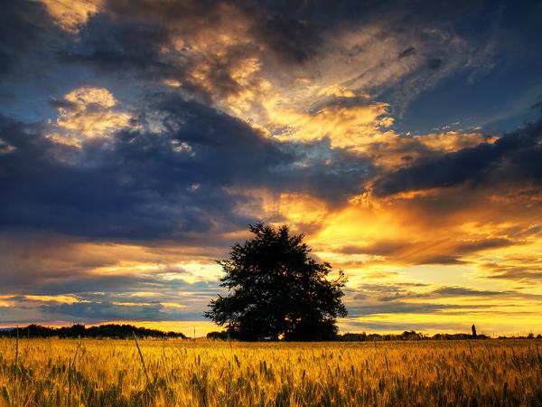 Zsolt Zsigmond_39600_450