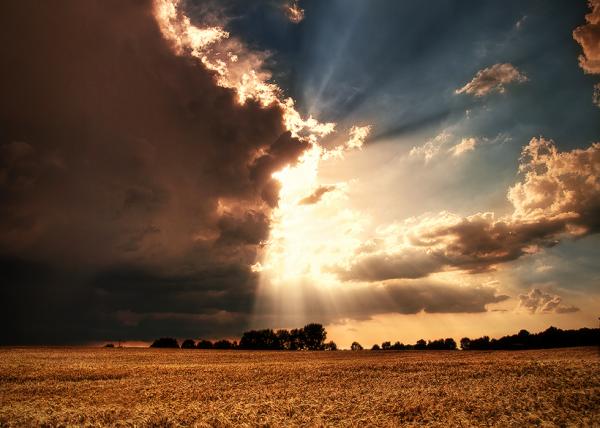 Zsolt Zsigmond_5600_428