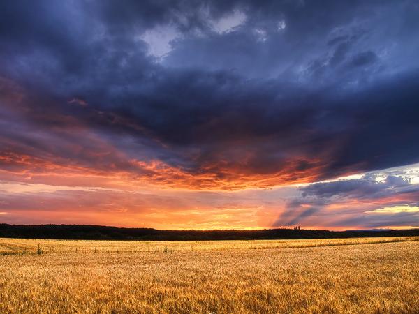 Zsolt Zsigmond_6600_450