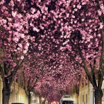 Landscape Photography by Kilian Schoenberger